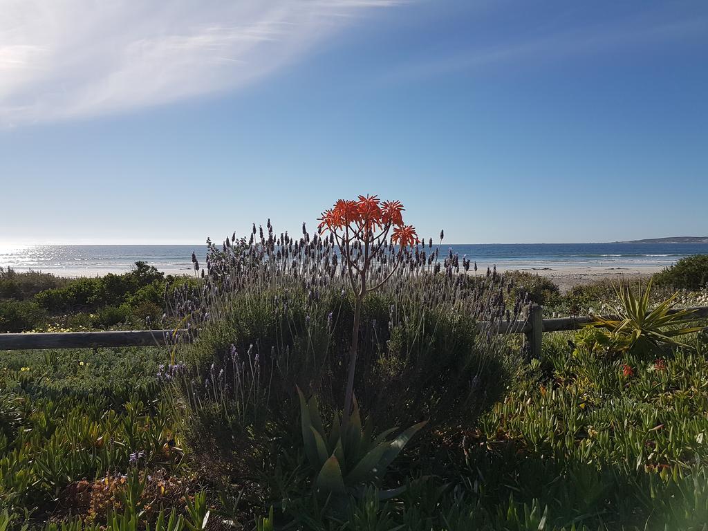 Hoekie B&B Paternoster Buitenkant foto